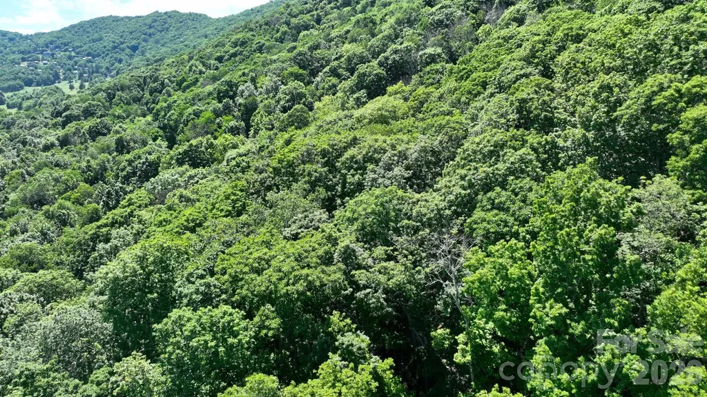 Tbd Greencove Drive Seven Devils NC 28604