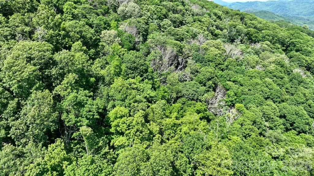 Tbd Greencove Drive Seven Devils NC 28604