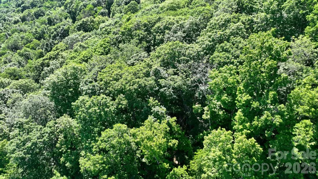 Tbd Greencove Drive Seven Devils NC 28604
