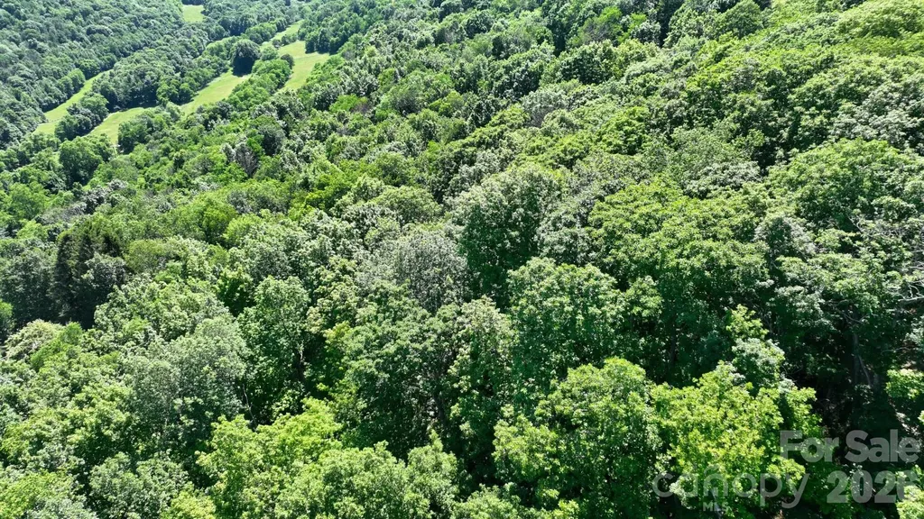 Tbd Greencove Drive Seven Devils NC 28604
