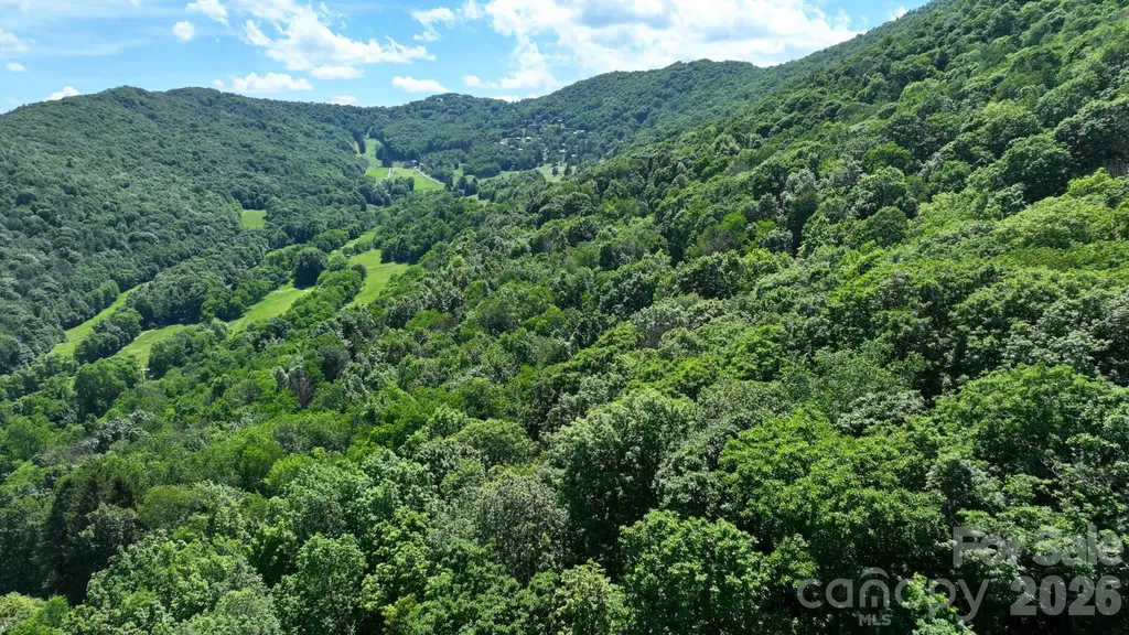 Tbd Greencove Drive Seven Devils NC 28604