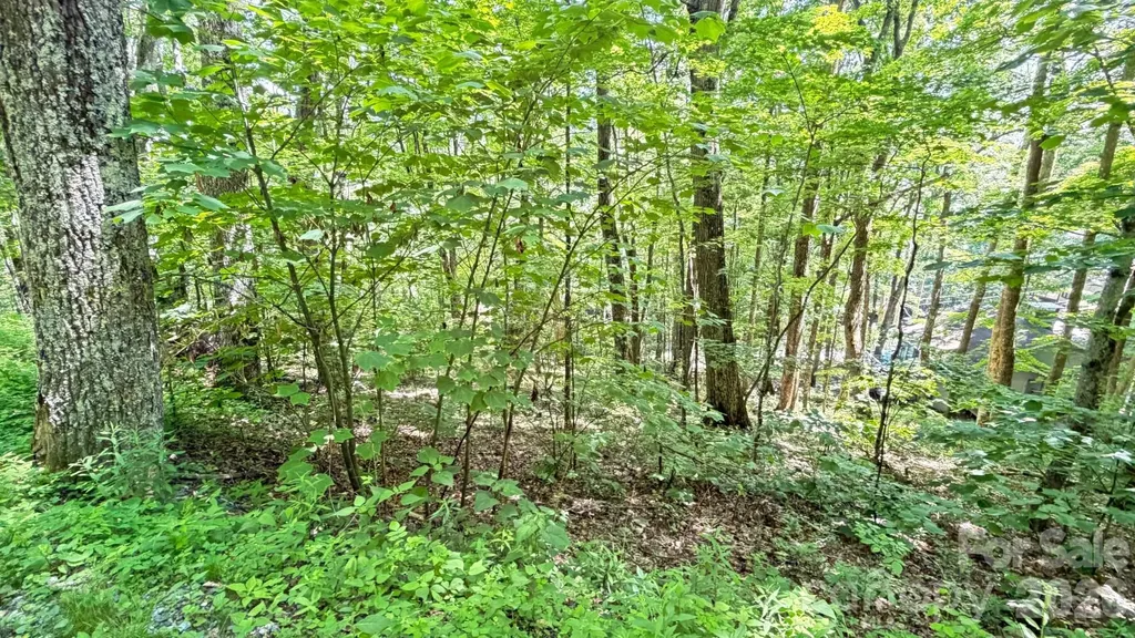 Tbd Greencove Drive Seven Devils NC 28604