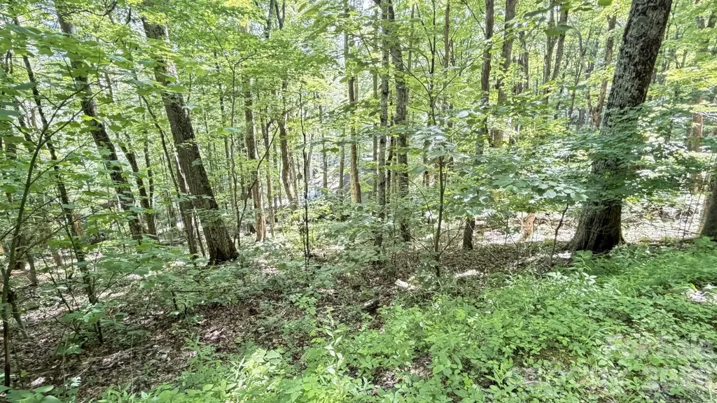 Tbd Greencove Drive Seven Devils NC 28604