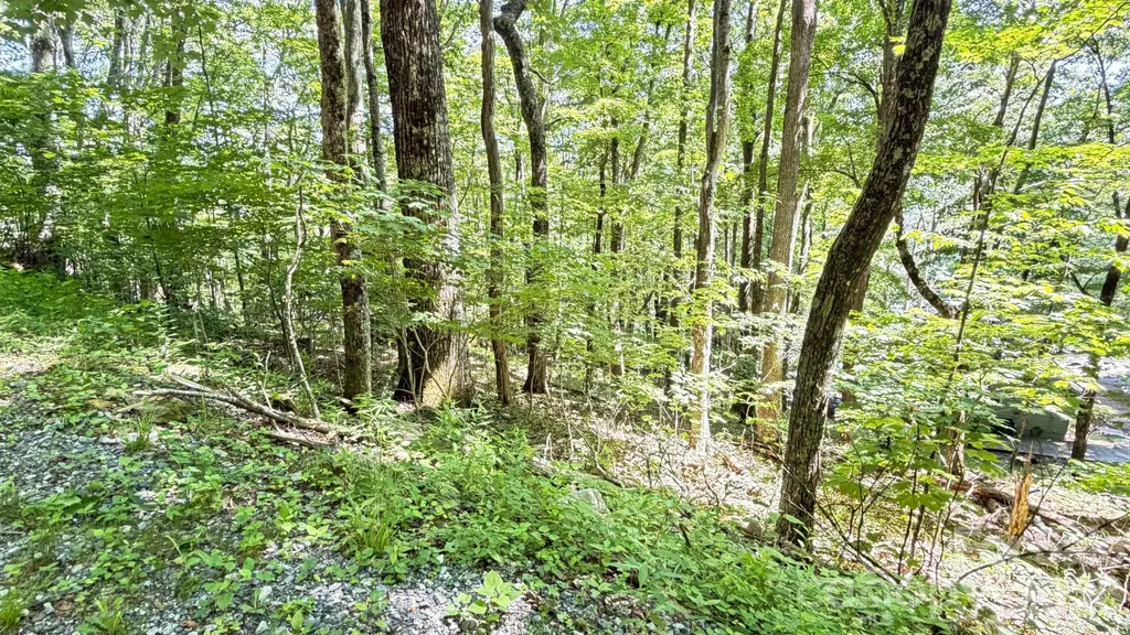 Tbd Greencove Drive Seven Devils NC 28604