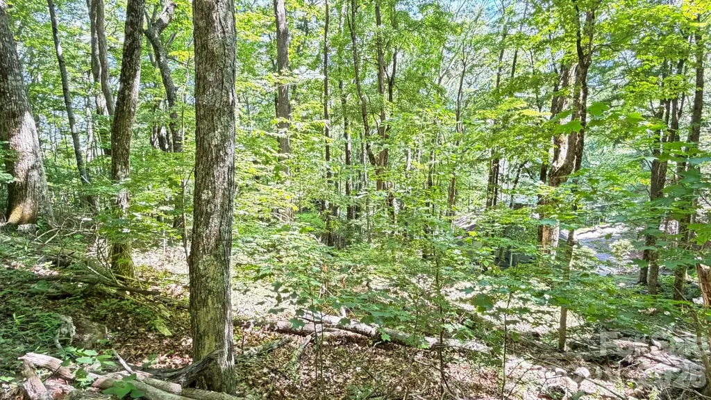Tbd Greencove Drive Seven Devils NC 28604