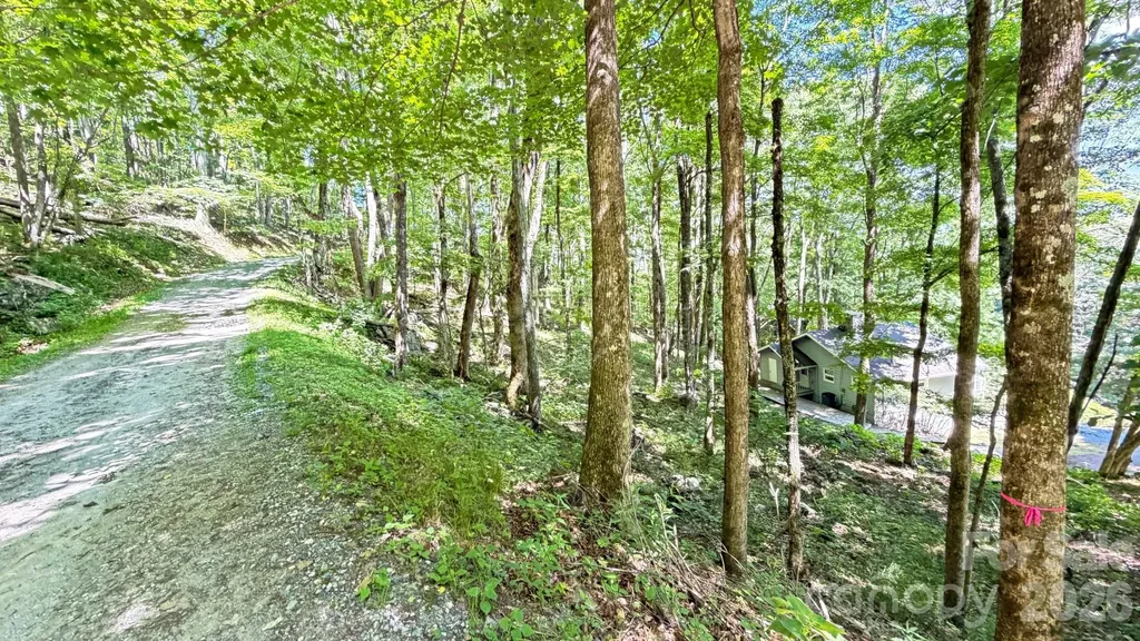 Tbd Greencove Drive Seven Devils NC 28604