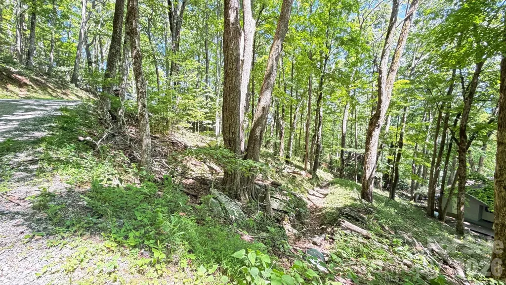 Tbd Greencove Drive Seven Devils NC 28604