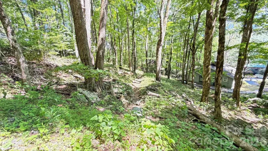 Tbd Greencove Drive Seven Devils NC 28604