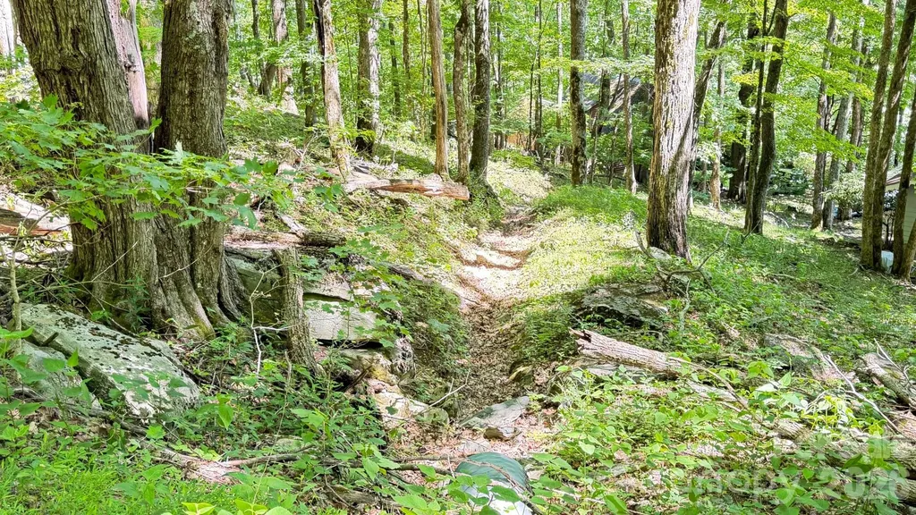 Tbd Greencove Drive Seven Devils NC 28604