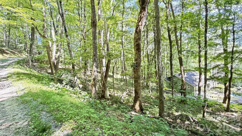 Tbd Greencove Drive Seven Devils NC 28604