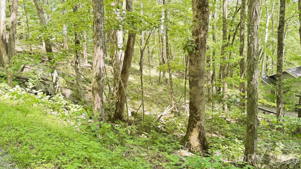 Tbd Greencove Drive Seven Devils NC 28604