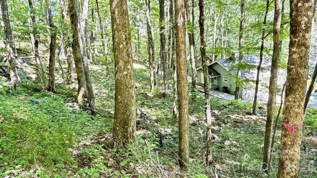 Tbd Greencove Drive Seven Devils NC 28604