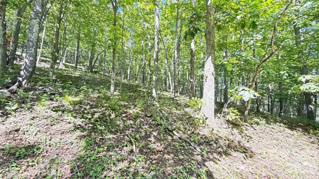 Tbd Greencove Drive Seven Devils NC 28604