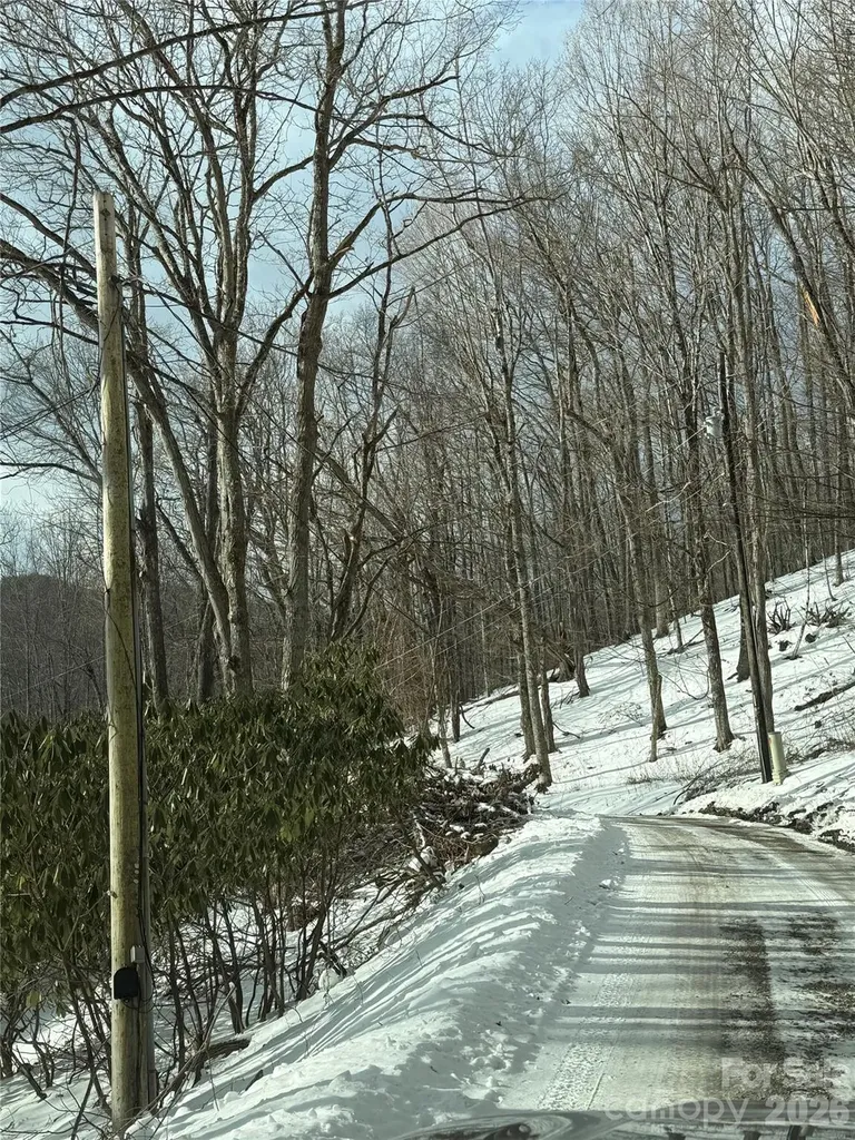 Tbd Greencove Drive Seven Devils NC 28604