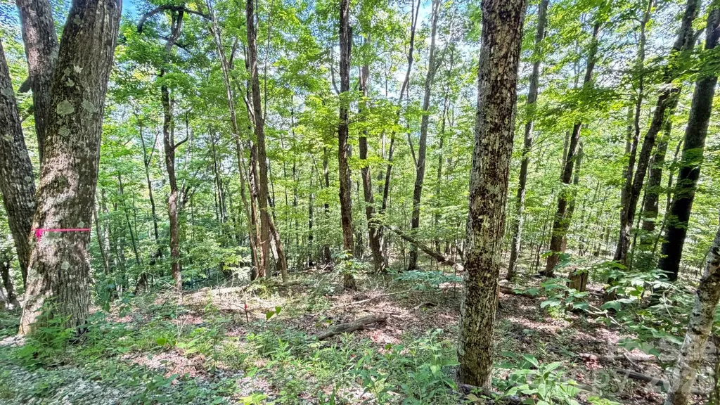 Tbd Greencove Drive Seven Devils NC 28604