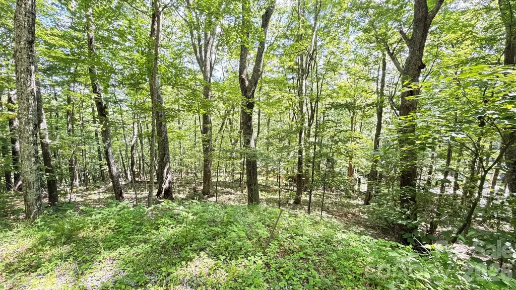 Tbd Greencove Drive Seven Devils NC 28604