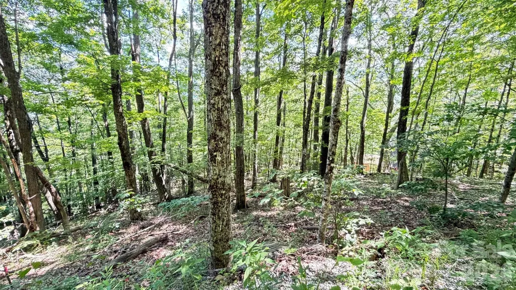 Tbd Greencove Drive Seven Devils NC 28604