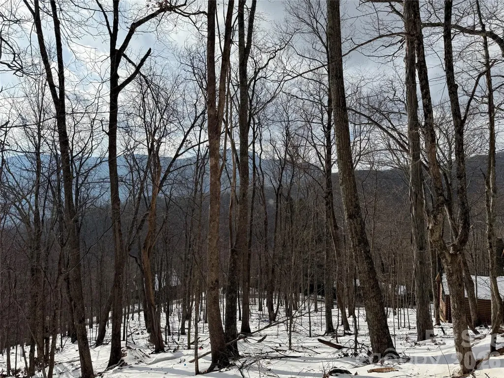 Tbd Greencove Drive Seven Devils NC 28604