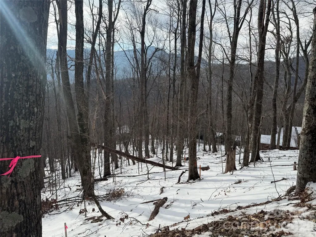 Tbd Greencove Drive Seven Devils NC 28604