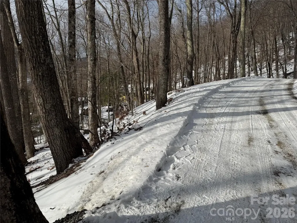 Tbd Greencove Drive Seven Devils NC 28604