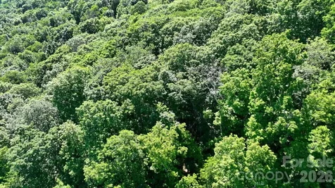 Tbd Greencove Drive Seven Devils NC 28604