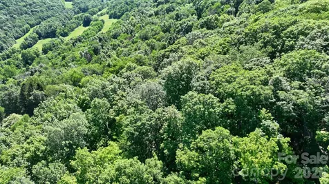 Tbd Greencove Drive Seven Devils NC 28604