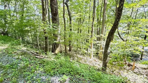 Tbd Greencove Drive Seven Devils NC 28604