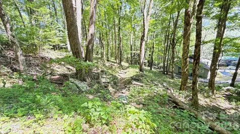 Tbd Greencove Drive Seven Devils NC 28604