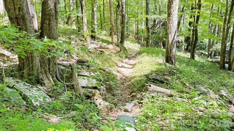 Tbd Greencove Drive Seven Devils NC 28604