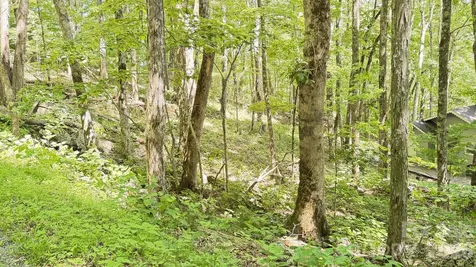 Tbd Greencove Drive Seven Devils NC 28604