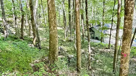 Tbd Greencove Drive Seven Devils NC 28604