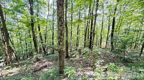 Tbd Greencove Drive Seven Devils NC 28604