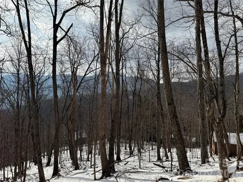 Tbd Greencove Drive Seven Devils NC 28604