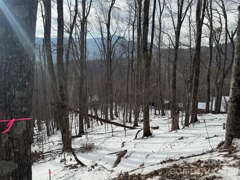 Tbd Greencove Drive Seven Devils NC 28604
