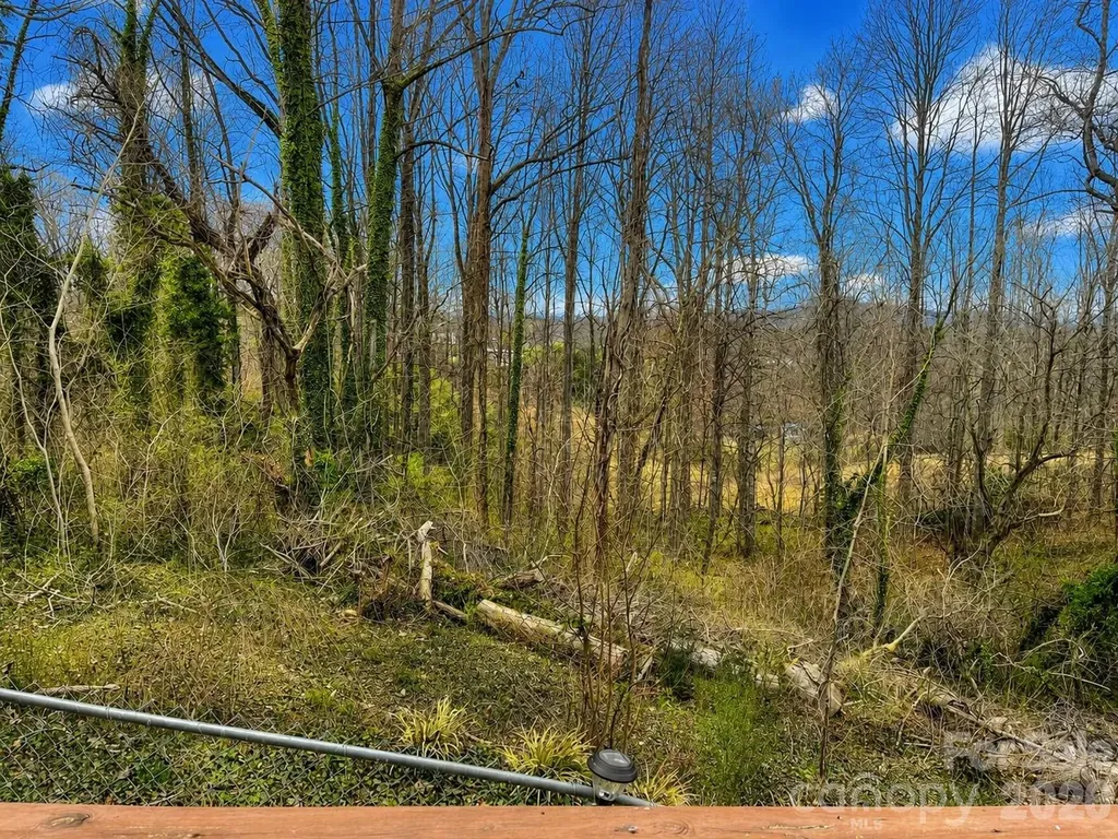 119 Seagle Street Marion NC 28752