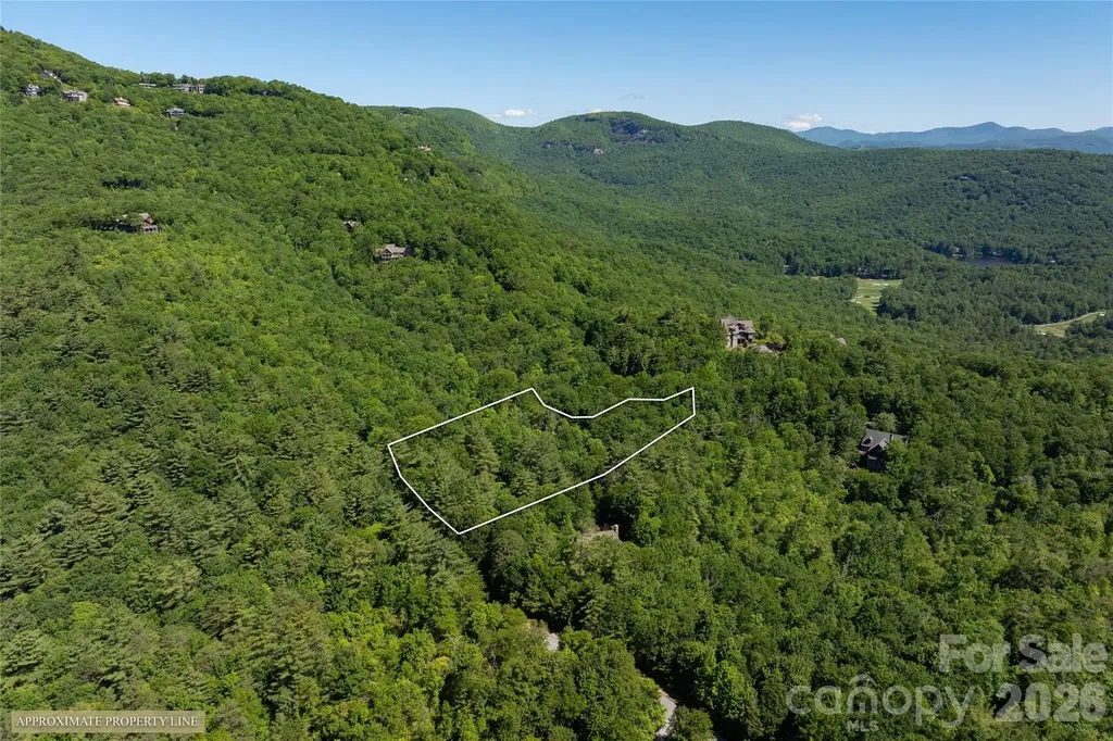 522 Toxaway Court Lake Toxaway NC 28747