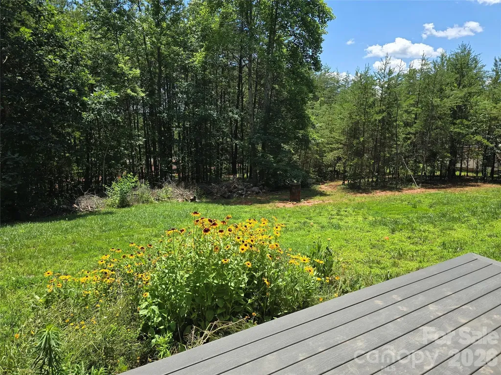 980 Smith Waldrop Road Mill Spring NC 28756