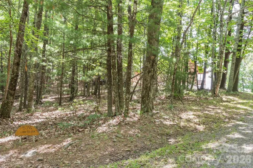 576 Lake Vista Drive Glade Valley NC 28627