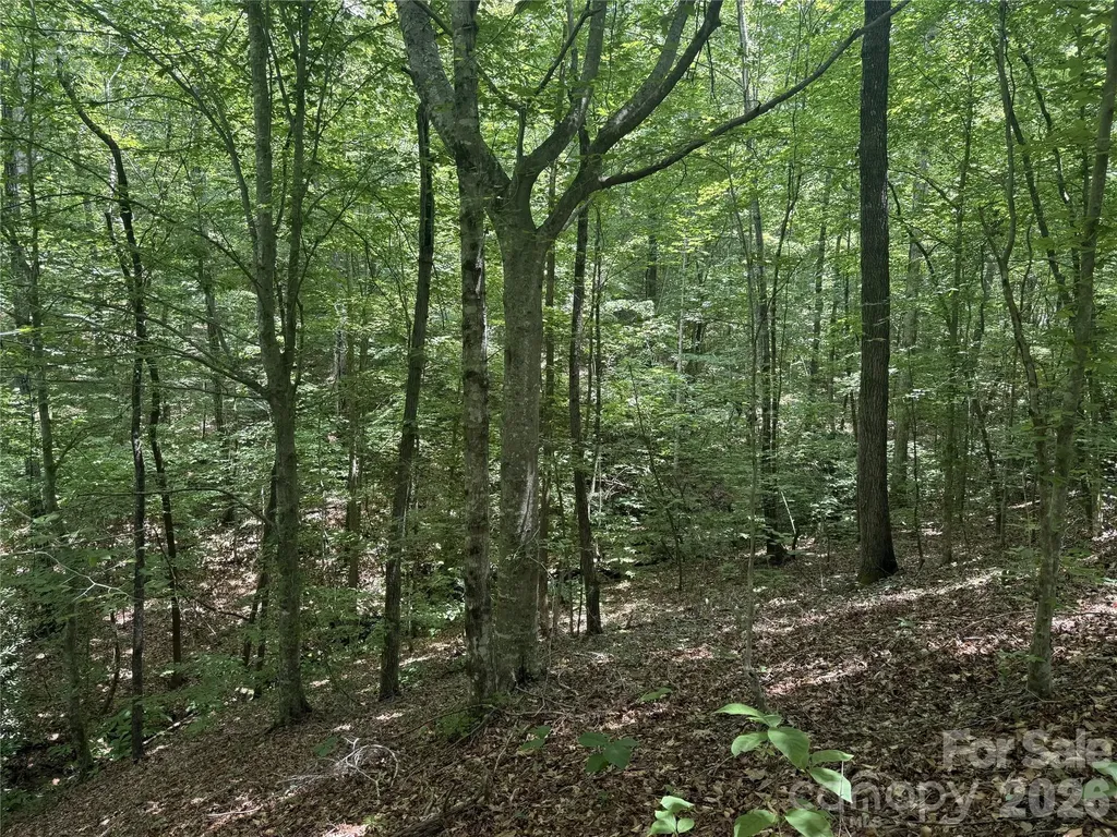 316 318 Cane Creek Mountain Road Union Mills NC 28167