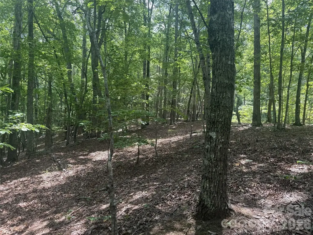 316 318 Cane Creek Mountain Road Union Mills NC 28167