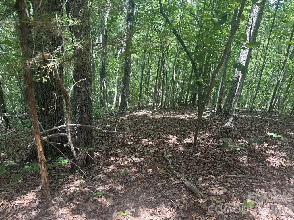 316 318 Cane Creek Mountain Road Union Mills NC 28167