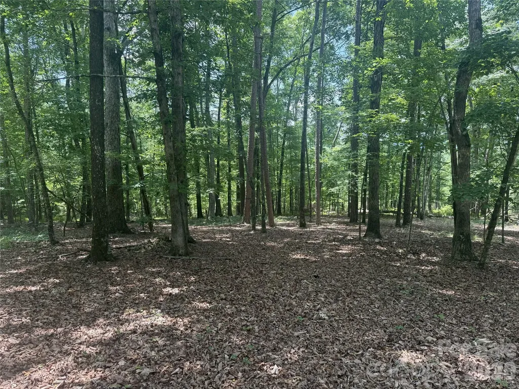 316 318 Cane Creek Mountain Road Union Mills NC 28167
