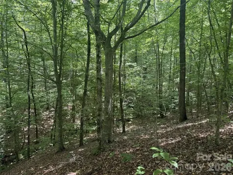 316 318 Cane Creek Mountain Road Union Mills NC 28167