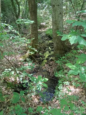 316 318 Cane Creek Mountain Road Union Mills NC 28167