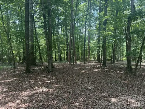 316 318 Cane Creek Mountain Road Union Mills NC 28167