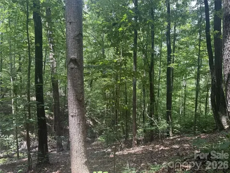 316 318 Cane Creek Mountain Road Union Mills NC 28167