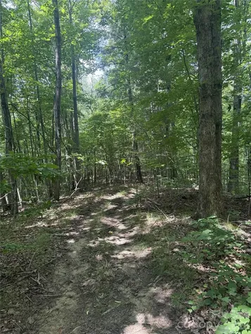 316 318 Cane Creek Mountain Road Union Mills NC 28167