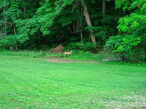 232 Langford Branch Road Burnsville NC 28714