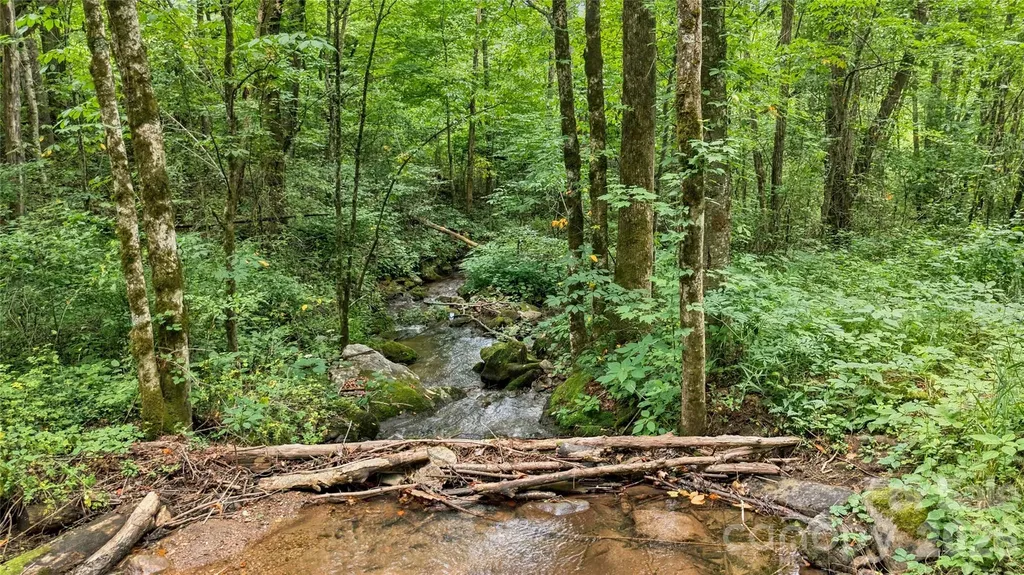 0000 Fisher Creek Road Sylva NC 28779