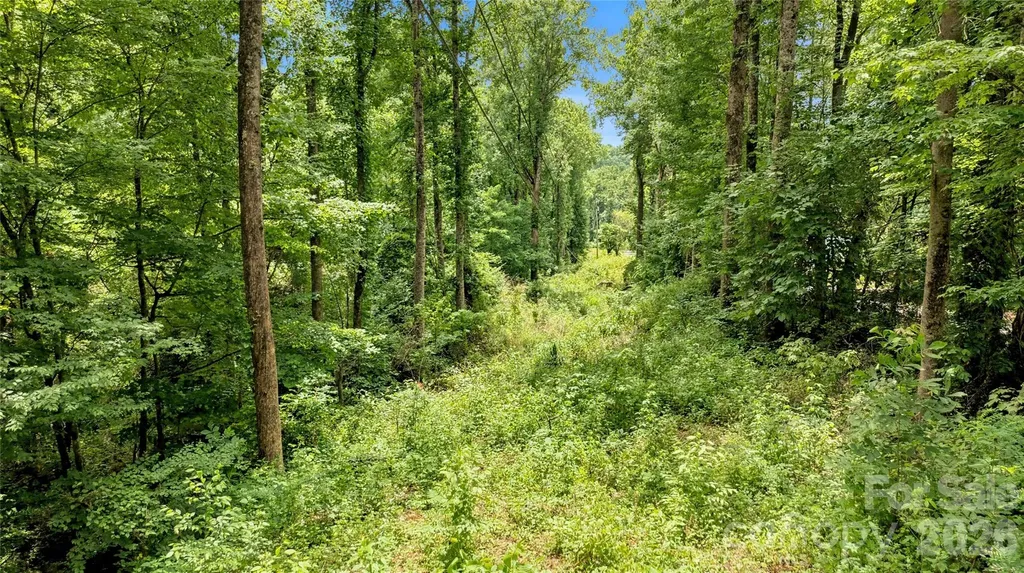 0000 Fisher Creek Road Sylva NC 28779